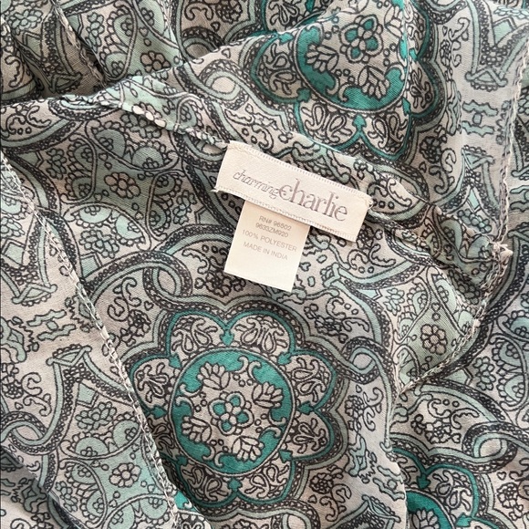 Charming Charlie Paisley Scarf - Gray and Teal - Picture 2 of 3